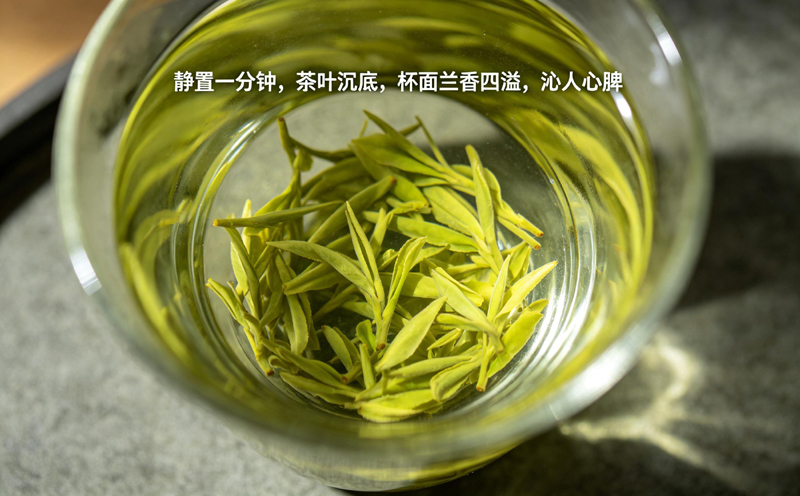 一杯静置约一分钟后的西湖狮峰龙井，茶叶已自然沉底，叶片舒展，茶汤清澈碧绿，杯面漂浮着淡淡的茶香，画面宁静而雅致。