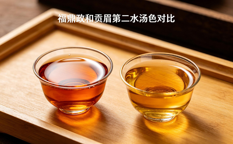福鼎政和贡眉第二水汤色对比