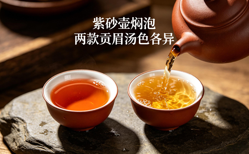 福建贡眉白茶的干茶冲泡对比