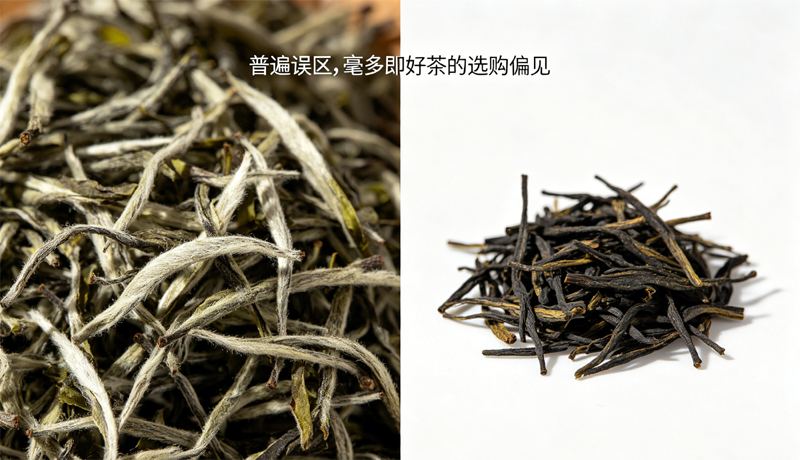 云南普洱茶的茶毫多并非好茶