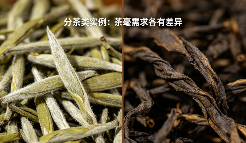 左侧为茶毫浓密的白毫银针，右侧为茶毫稀少的云南普洱茶，说明了不同茶类对茶毫的需求存在差异