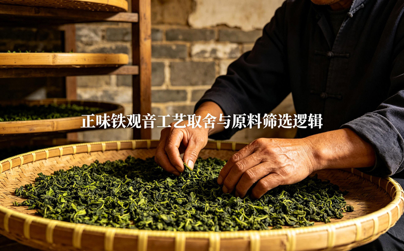 正味铁观音工艺取舍与原料筛选逻辑