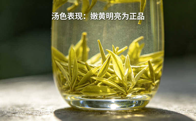 信阳毛尖洗茶,温嗅叶底,无杂味青草气
