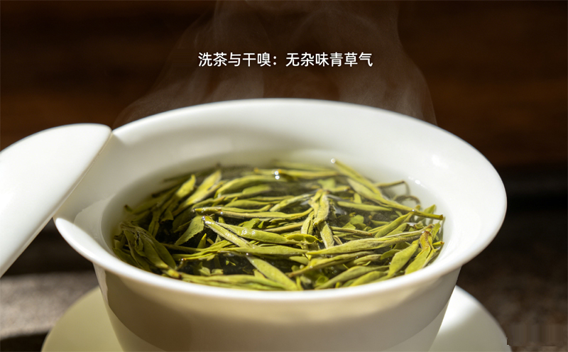 信阳毛尖洗茶,温嗅叶底,无杂味青草气
