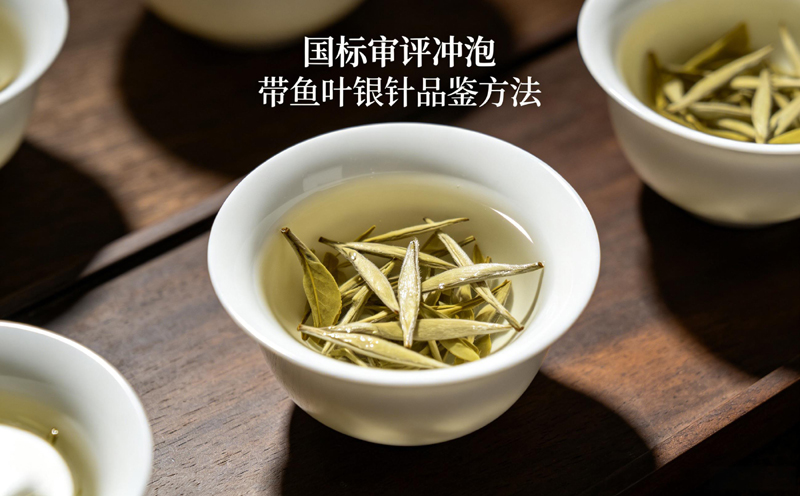 遵循国标审评规范，白毫银针冲泡实操实拍说明