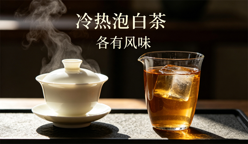 同款白茶冷热风味大对比