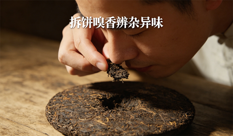 一只手拿着普洱茶干凑近鼻子嗅闻