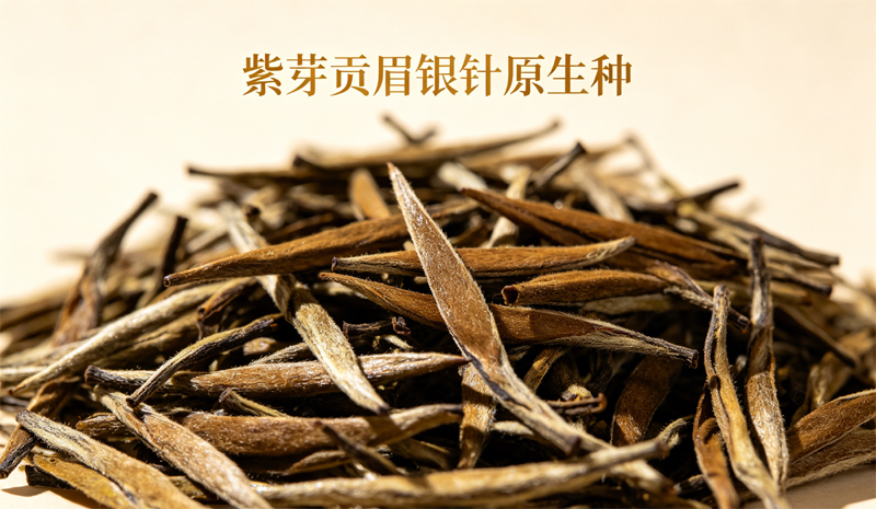 福鼎本土菜茶群体种的紫芽贡眉银针，原料稀有