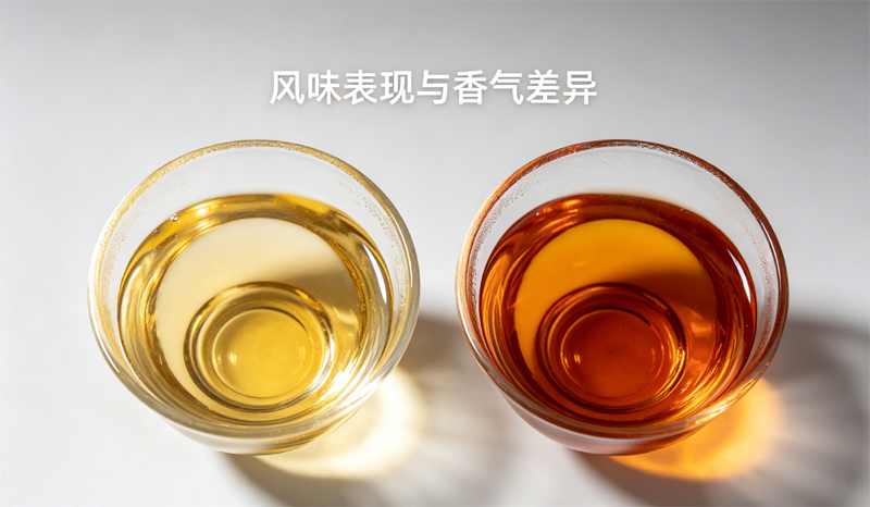 两杯茶汤对比，一杯是福鼎大毫白毫银针，茶汤清爽，另一杯是紫芽贡眉银针，茶汤饱满厚重