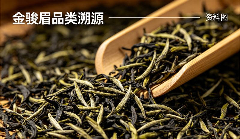 金骏眉红茶品类区分鉴别冲泡