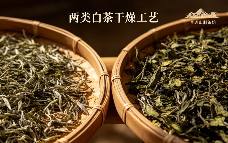 两类白茶干燥工艺界定，景迈半阴半晒工艺产区适配逻辑