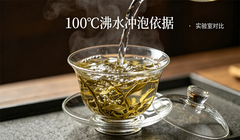 100℃沸水冲泡科学依据，低温与沸水内含物析出量化对比