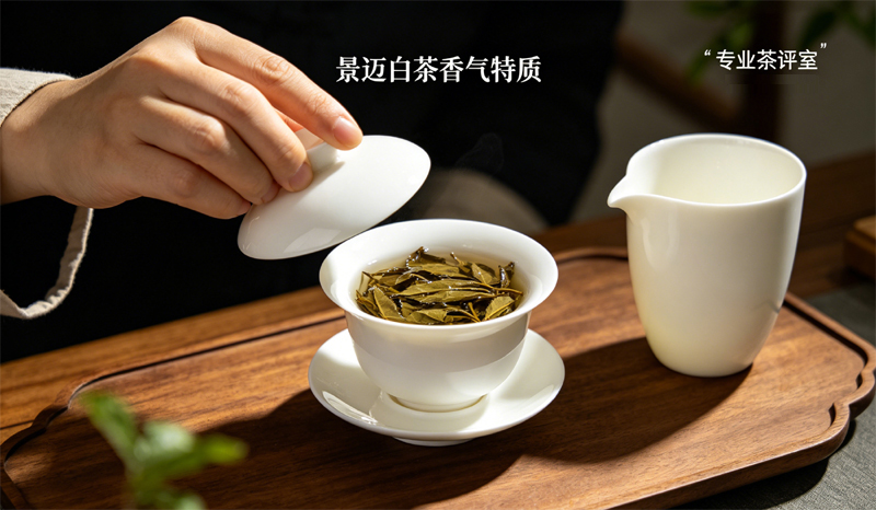 景迈古树白茶半阴半晒工艺点