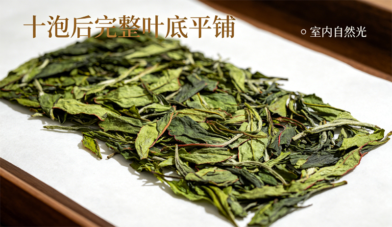 宋种单丛冲泡十余泡后青底带红边叶底