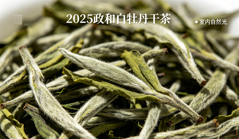 福建政和白牡丹白茶冲泡品鉴