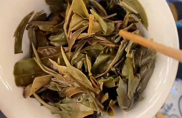 白牡丹白茶叶底