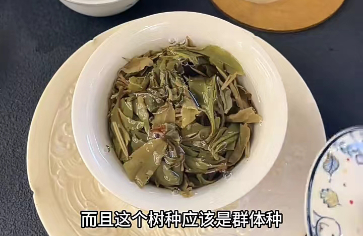 白牡丹白茶群体种