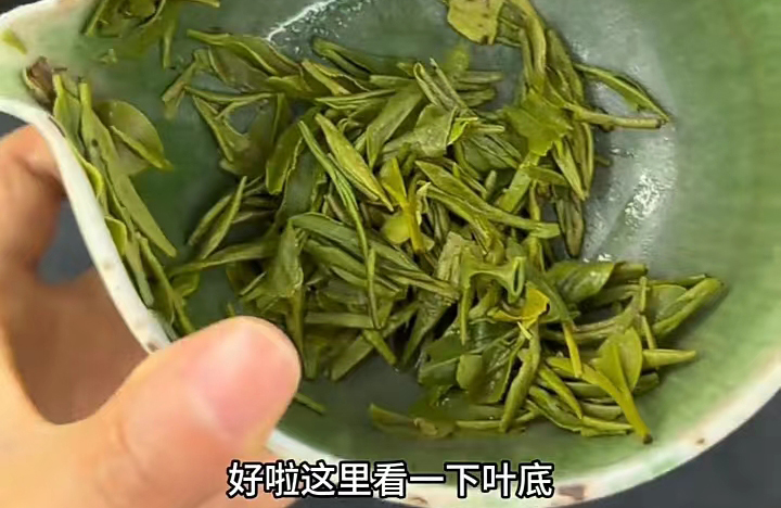 冰块冷萃后的龙井茶叶底