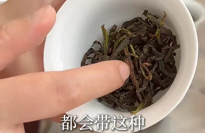 福建武夷山老枞