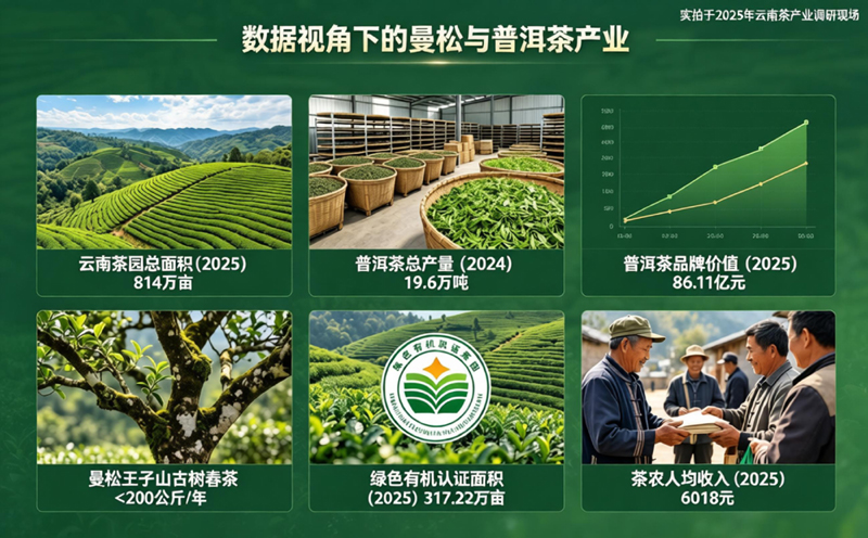 稀缺背后的数据