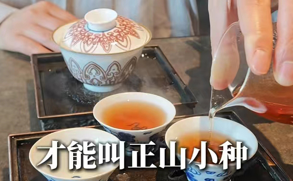桐木关正山小种红茶图