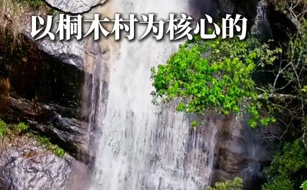 真桐木关正山小种的正山边界