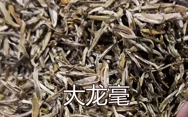 大龙毫高香茉莉花茶,大下花量渥堆静置窨制实景 茉莉花茶窨制渥堆现场,茶花均匀拌和静置堆实拍