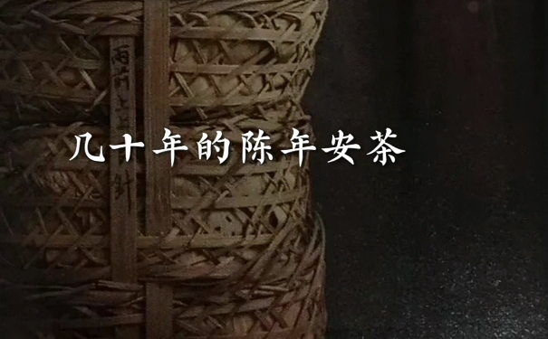 安茶常见问题实物对照-区分自然白霜与霉斑-直观展示不同陈期茶样状态