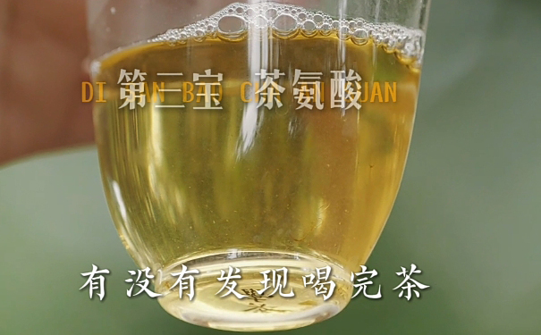 茶氨酸