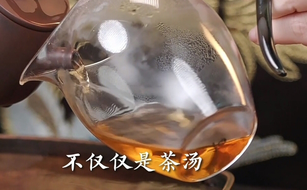 新手安茶快泡演示-100℃沸水润茶1次出汤-保留原生清润香气